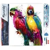 Image de Figured’Art Diamond Painting Broderie Diamant 40x50cm Toile Entière Roulée avec Strass Perles Carrés - Perroquets en Peinture - Kit Complet Animaux 5D DIY Activité Manuelle Loisirs Créatifs Adultes