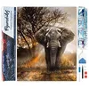 Image de Figured’Art Diamond Painting Broderie Diamant 40x50cm Toile Entière Roulée avec Strass Perles Carrés - Eléphant dans la Savane - Kit Complet Animaux 5D DIY Activité Manuelle Loisirs Créatifs Adultes