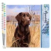 Image de Figured'Art Peinture par Numéro Adulte Chien labrador - Activité Manuelle Kit de Loisir Créatif DIY Numéro d'Art Complet - 40x50cm sans châssis en bois