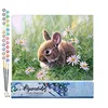 Image de Figured'Art Peinture par Numéro Adulte Lapin et marguerites - Activité Manuelle Kit de Loisir Créatif DIY Numéro d'Art Complet - 40x50cm sans châssis en bois