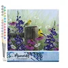 Image de Figured'Art Peinture par Numéro Adulte Couple de chardonneret - Activité Manuelle Kit de Loisir Créatif DIY Numéro d'Art Complet - 40x50cm sans châssis en bois