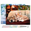 Image de Figured'Art Peinture par Numéro Adulte avec Cadre Sieste entre amis - Activité Manuelle Kit de Loisir Créatif DIY Numéro d'Art Complet - 40x50cm toile tendue sur châssis