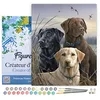 Image de Figured'Art Peinture par Numéro Adulte avec Cadre Trio de labrador - Activité Manuelle Kit de Loisir Créatif DIY Numéro d'Art Complet - 40x50cm toile tendue sur châssis