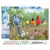 Image de Figured'Art Peinture par Numéro Adulte avec Cadre Oiseaux sur la barrière - Activité Manuelle Kit de Loisir Créatif DIY Numéro d'Art Complet - 40x50cm toile tendue sur châssis