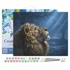 Image de Figured'Art Peinture par Numéro Adulte avec Cadre Lion dans la pénombre - Activité Manuelle Kit de Loisir Créatif DIY Numéro d'Art Complet - 40x50cm toile tendue sur châssis