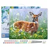 Image de Figured'Art Peinture par Numéro Adulte avec Cadre Biche dans la prairie - Activité Manuelle Kit de Loisir Créatif DIY Numéro d'Art Complet - 40x50cm toile tendue sur châssis
