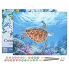 Image de Figured'Art Peinture par Numéro Adulte avec Cadre Tortue en ballade - Activité Manuelle Kit de Loisir Créatif DIY Numéro d'Art Complet - 40x50cm toile tendue sur châssis