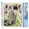 Image de Figured'Art Peinture par Numéro Adulte Découverte des papillons - Activité Manuelle Kit de Loisir Créatif DIY Numéro d'Art Complet - 40x50cm sans châssis en bois