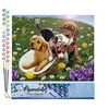 Image de Figured'Art Peinture par Numéro Adulte Jeux entre amis - Activité Manuelle Kit de Loisir Créatif DIY Numéro d'Art Complet - 40x50cm sans châssis en bois