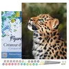 Image de Figured'Art Peinture par Numéro Adulte avec Cadre Leopard curieux - Activité Manuelle Kit de Loisir Créatif DIY Numéro d'Art Complet - 40x50cm toile tendue sur châssis