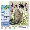 Image de Figured'Art Peinture par Numéro Adulte avec Cadre Découverte des papillons - Activité Manuelle Kit de Loisir Créatif DIY Numéro d'Art Complet - 40x50cm toile tendue sur châssis
