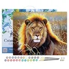 Image de Figured'Art Peinture par Numéro Adulte avec Cadre Lion dans la savane - Activité Manuelle Kit de Loisir Créatif DIY Numéro d'Art Complet - 40x50cm toile tendue sur châssis