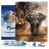 Image de Figured’Art Diamond Painting Broderie Diamant 40x50cm Avec Cadre Toile Tendue Strass Perles Carrés - Eléphant dans la Savane - Kit Complet Animaux 5D DIY Activité Manuelle Loisirs Créatifs Adultes