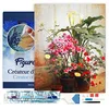 Image de Figured’Art Diamond Painting Broderie Diamant 40x50cm Avec Cadre Toile Tendue Strass Perles Carrés - Côté d'une serre Cochran Lambdin - Kit Complet 5D DIY Activité Manuelle Loisirs Créatifs Adultes