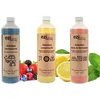 Image de Lot de 3 Solutions nettoyantes Eziclean® pour nettoyeur haute pression