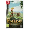 Image de Baldo The Guardian Owls Nintendo Switch en occasion ou reconditionné