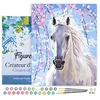 Image de Figured'Art Peinture par Numéro Adulte avec Cadre Cheval et Fleurs blanches - Activité Manuelle Kit de Loisir Créatif DIY Numéro d'Art Complet - 40x50cm toile tendue sur châssis