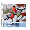 Image de Figured'Art Peinture par Numéro Adulte Rouge gorge sous la neige - Activité Manuelle Kit de Loisir Créatif DIY Numéro d'Art Complet - 40x50cm sans châssis en bois