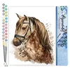 Image de Figured'Art Peinture par Numéro Adulte Cheval brun - Activité Manuelle Kit de Loisir Créatif DIY Numéro d'Art Complet - 40x50cm sans châssis en bois