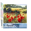 Image de Figured'Art Peinture par Numéro Adulte Coquelicots champêtres - Activité Manuelle Kit de Loisir Créatif DIY Numéro d'Art Complet - 40x50cm sans châssis en bois