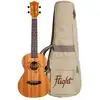 Image de DUT34 Electro-Acoustic Tenor