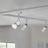 Image de Paulmann réflecteur LED GU10 3,5 W 4 000 K 36°