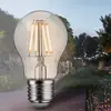 Image de Paulmann ampoule LED à filament E27 4W 2.200 K