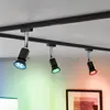 Image de Paulmann LED GU10 4,8 W 350 lm ZigBee RGBW noir