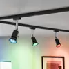 Image de Paulmann LED GU10 4,8 W 350 lm ZigBee noir x3