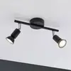 Image de Paulmann Carolina spot pour plafond, 2 lampes IP44