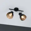 Image de Paulmann Davy plafonnier noir à 2 lampes