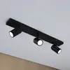 Image de Spot pour plafond Paulmann Zyli noir longueur 60 cm à 2 lampes IP44