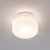 Image de Plafonnier LED Paulmann Maro, blanc, Ø 16 cm, IP44