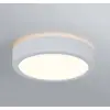 Image de Paulmann Aviar plafonnier LED Ø 22cm blanc 3 000K
