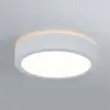 Image de Paulmann Aviar plafonnier LED Ø 22cm blanc 4 000K