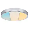 Image de Paulmann Aviar plafonnier LED WhiteSwitch Ø 36 cm