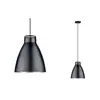 Image de Paulmann Suspension à une lampe Roald