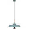 Image de Paulmann 79655 Neordic Juna suspension max 1x20W E14 Vert satiné/Cuivre/Bois 230V, Métal/Bois, 340mm 34,2 cm x 34,2 cm x 110 cm