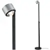 Image de Paulmann Lampe sur pied LED Aldan, métal, réglable, intensité variable