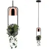 Image de Paulmann suspension Fanja avec pot de fleur