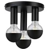 Image de Paulmann 79761 plafonnier Neordic Skogen rond max. 3x20 watts éclairage de plafond Noir éclairage de salon Métal éclairage de couloir E27