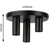 Image de Paulmann Skogen plafonnier noir à 3 lampes