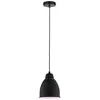 Image de Paulmann 79763 luminaire en suspension Neordic Hilla max. 40 watts luminaire suspendu Noir suspensions Métal E27