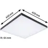 Image de Paulmann Velora Rainbow Panneau 45x45cm noir RGBW