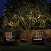 Image de Paulmann Plug & Shine Chaîne lumineuse LED Globe 7x0,2W