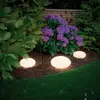 Image de Paulmann Plug & Shine Lampe décorative LED Stone 28 cm
