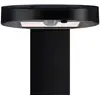 Image de Paulmann borne solaire LED Ryse anthracite