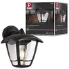 Image de Paulmann 94392 luminaire d'extérieur applique d'ext. Classic Curved IP44 gradable éclair. ext. Clair, Noir lampe d'ext. plastique lampe de jardin E27