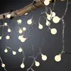 Image de Paulmann Plug & Shine Guirlande lumineuse LED mini, 5 m