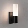 Image de Applique d'extérieur Paulmann Tralia, anthracite, hauteur 25 cm IP44
